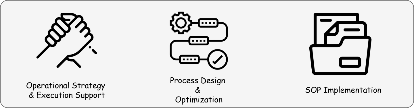 operations strategy execution support SOP development process review and design